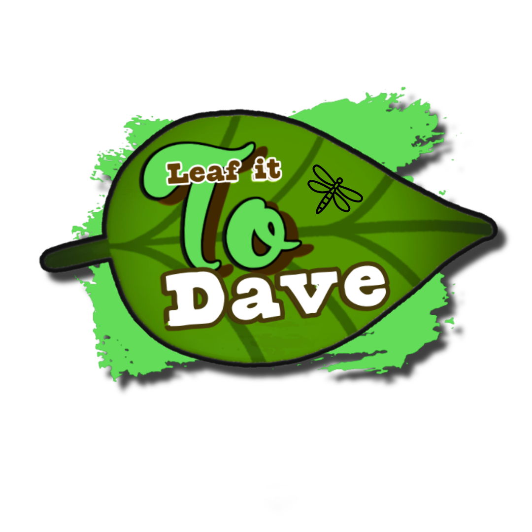 Leaf It To Dave